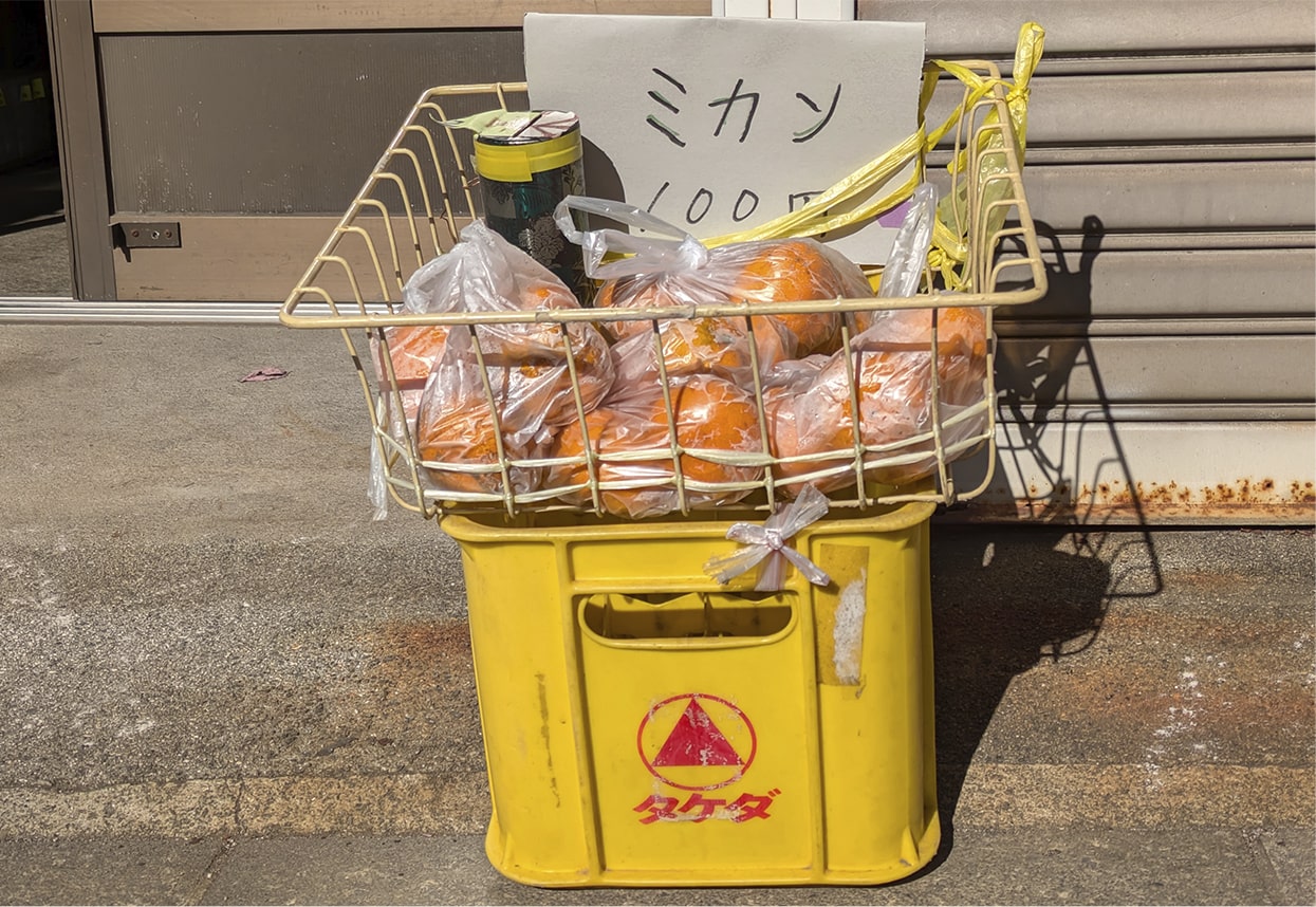 なぜ「みかんまつり」？ 国府津とみかんの関係