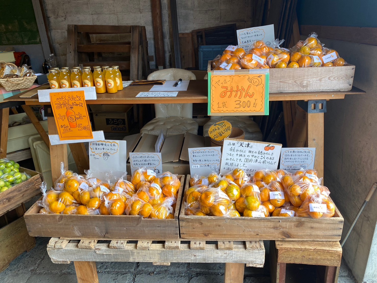 国府津がみかん色に染まる一日 　「みかんまつり」開催